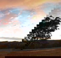 Christmas in July Jumpers and Jazz - Foster Accommodation