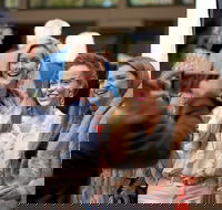 CinefestOZ Film Festival - Foster Accommodation