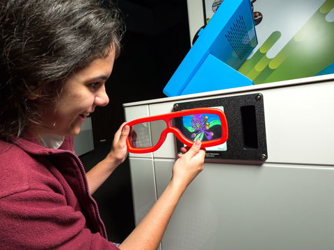 Colour: See The World In A New Light - Foster Accommodation 1