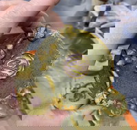 Contemporary Mooncake Masterclass - Foster Accommodation