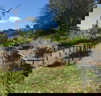 Conservation Volunteers Australia Townsville - Ocean View Nursery - Foster Accommodation