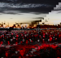 Field of Light Uluru - Foster Accommodation