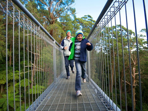 Get Back To Nature These July School Holidays! - Foster Accommodation 0