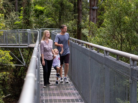 Get Back To Nature These July School Holidays! - Foster Accommodation 1
