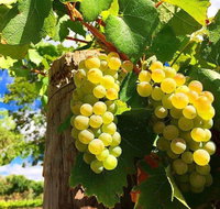 GetawaysSA Bringing Barossa To Your Door - Foster Accommodation