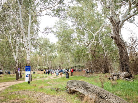 Grazing Down The Lachlan - Foster Accommodation 2