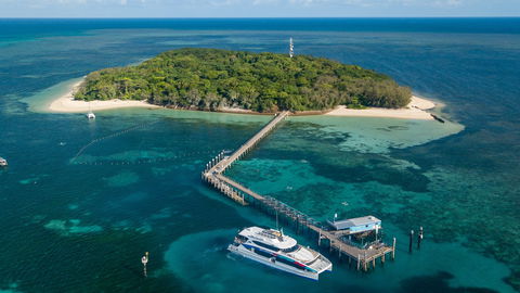 Great Adventures Green Island Ocean Swim - Foster Accommodation 0