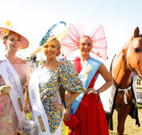 Great Northern Darwin Cup Carnival - Foster Accommodation