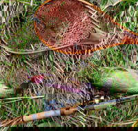 Guyra TroutFest - Foster Accommodation