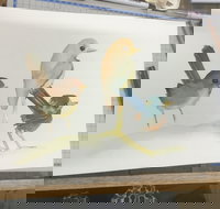 Ink  Watercolour Wash Illustration Workshop - Foster Accommodation