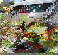 Johns River Country Markets - Foster Accommodation