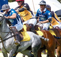 Land Rover Polo in the City Brisbane - Foster Accommodation