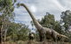 Lost Sanctuary At Healesville Sanctuary - thumb 0