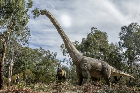 Lost Sanctuary At Healesville Sanctuary - Foster Accommodation 0