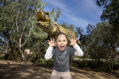 Lost Sanctuary At Healesville Sanctuary - Foster Accommodation 1