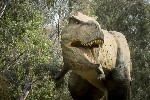 Lost Sanctuary At Healesville Sanctuary - Foster Accommodation 2