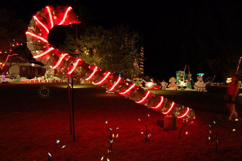 Loxton Christmas Lights Festival - Foster Accommodation 2