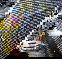 Ltape Australia by Tour de France - Foster Accommodation