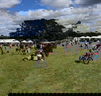 Majors Creek Festival - Foster Accommodation