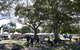 Makers And Finders Market Murwillumbah - thumb 2