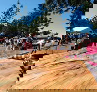 Maleny Wood Expo From Seed to Fine Furniture - Foster Accommodation