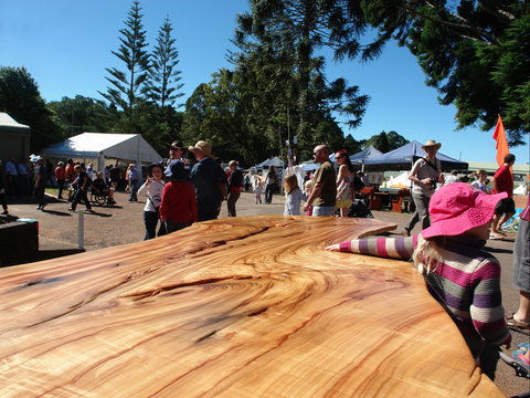 Maleny Wood Expo: From Seed To Fine Furniture - Foster Accommodation 0