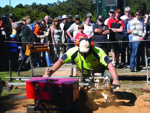 Maleny Wood Expo: From Seed To Fine Furniture - Foster Accommodation 2