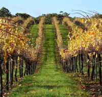 Miners Ridge Wine Tasting - Foster Accommodation