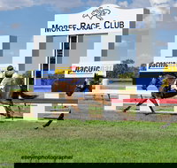 Moree Race Club TAB Race Day - Foster Accommodation