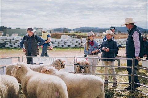Mudgee Small Farm Field Days - Foster Accommodation 0
