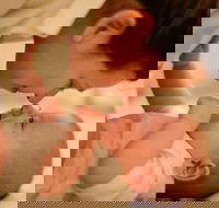 Mums and Bubs Fitness Class with a French Touch - Foster Accommodation