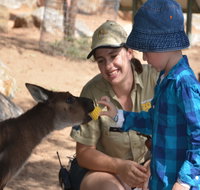 Mums and Cubs And Dads too - Foster Accommodation