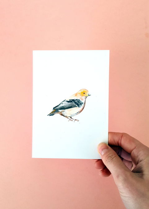 NW Niche Christmas Market In Burnie - Foster Accommodation 1