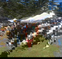 Palm Beach Market - Foster Accommodation