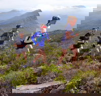 Peaks and Trails Run - Foster Accommodation