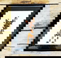 Pen  Ink Illustration Workshop - Foster Accommodation