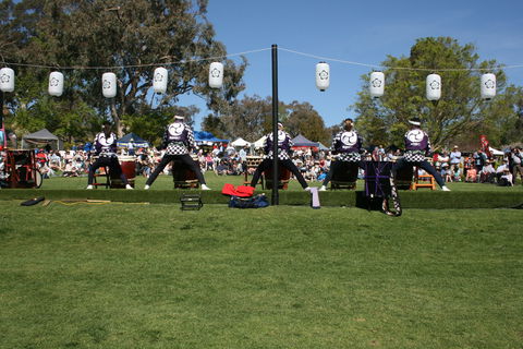 Sakura Matsuri  - Cherry Blossom Festival - In Doubt Due To Covid-19 - Foster Accommodation 0