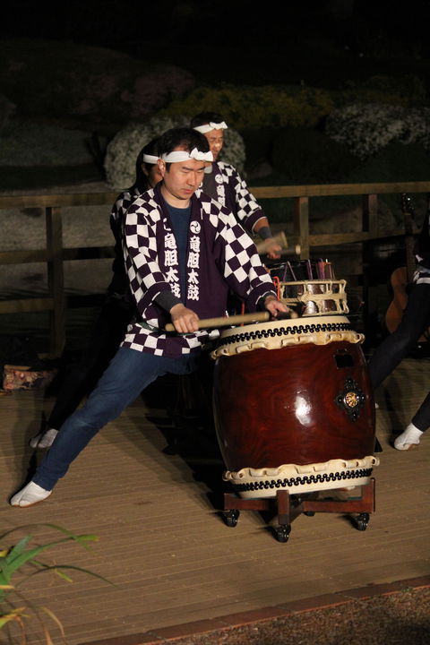Sakura Matsuri  - Cherry Blossom Festival - In Doubt Due To Covid-19 - Foster Accommodation 1