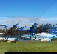 Sculptures at Killalea - Foster Accommodation