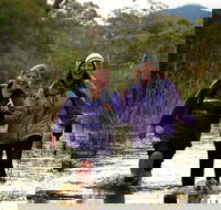 Serra Terror - Foster Accommodation