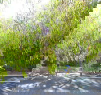 SunSmart FunMan Triathlon - Foster Accommodation