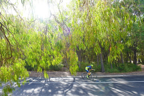 SunSmart FunMan Triathlon - Foster Accommodation 0