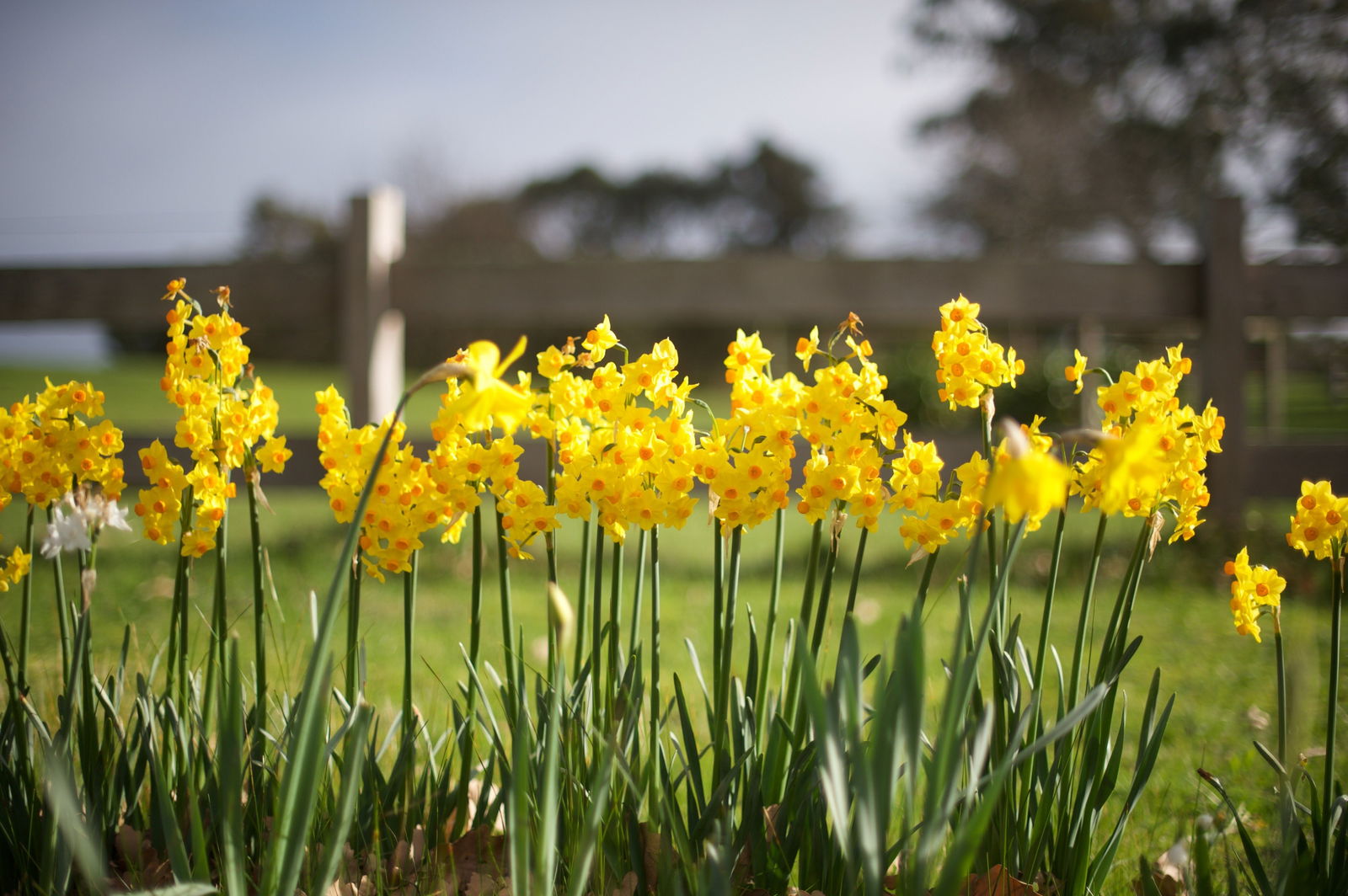 Langwarrin VIC Foster Accommodation