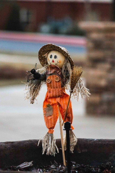Tamborine Mountain Scarecrow Festival - Foster Accommodation 0