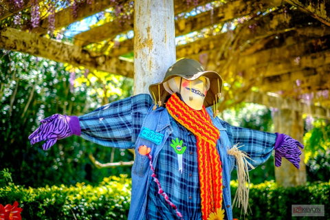 Tamborine Mountain Scarecrow Festival - Foster Accommodation 1