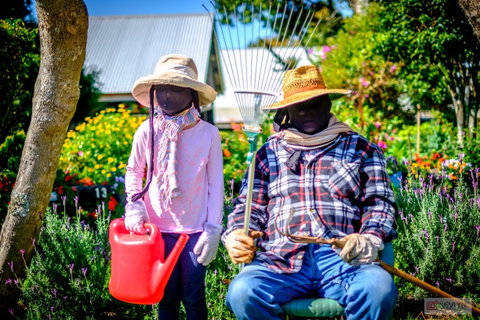 Tamborine Mountain Scarecrow Festival - Foster Accommodation 2