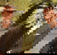 The Quiz Show of Magic  Wizards - Foster Accommodation