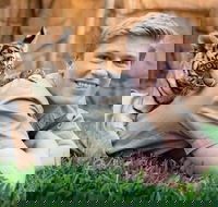 Winter Holiday Fun at Australia Zoo - Foster Accommodation