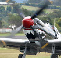 Wings Over Illawarra - Foster Accommodation