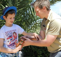 Zoocation at the National Zoo  Aquarium - Foster Accommodation